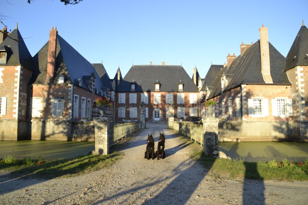 Chateau Souesmes - fantastic living place